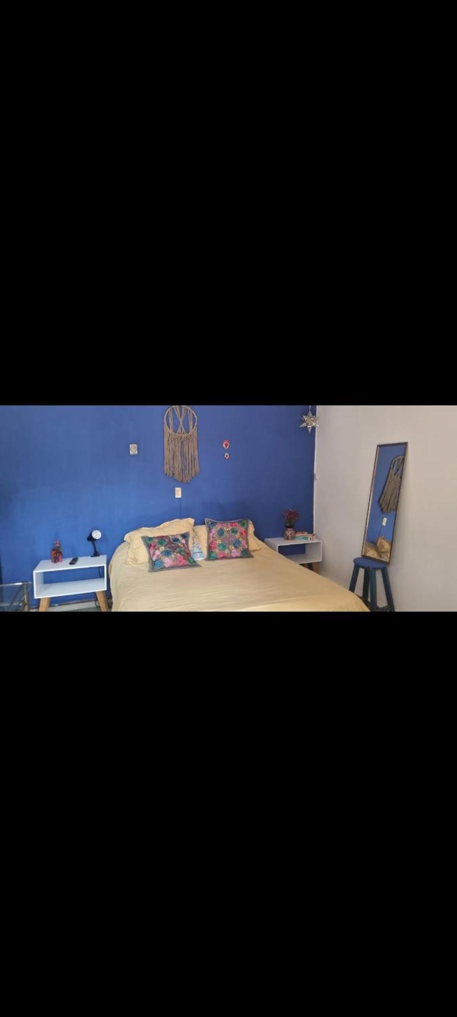 Alcoba Con Terraza Apartment Mexico City